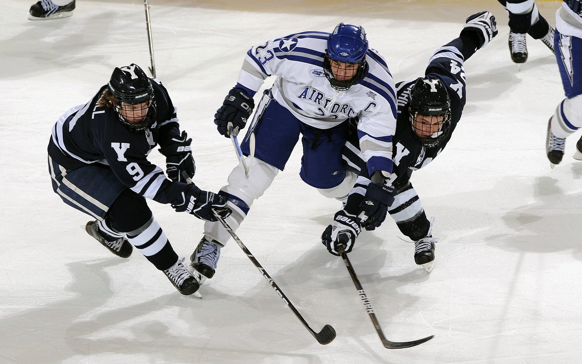“青春奋进”青少年篮球志愿服务在重庆持续推进，助力基层体育发展